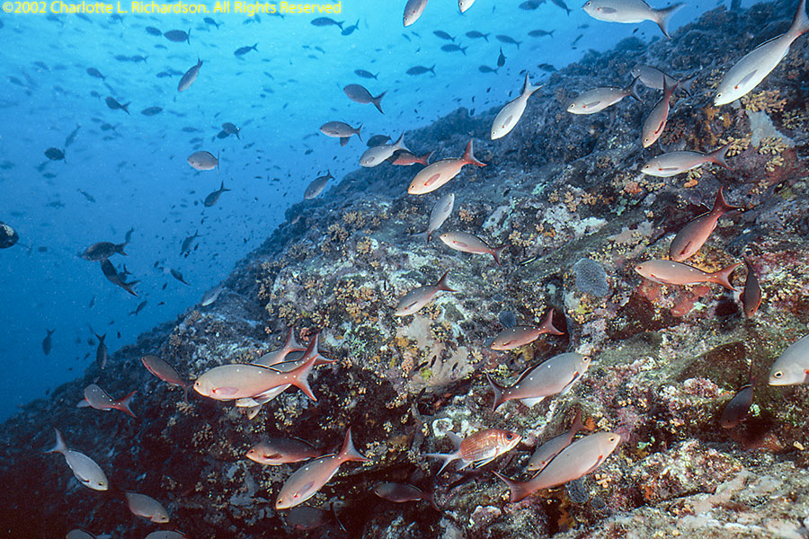 Sao Tome e Principe Photo Gallery